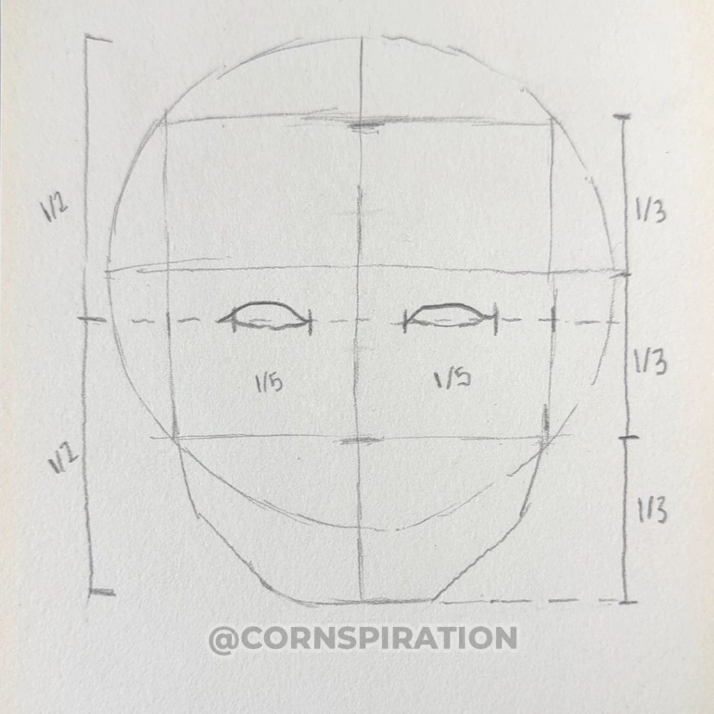 Ubicación y proporción de los ojos dentro de la estructura del rostro