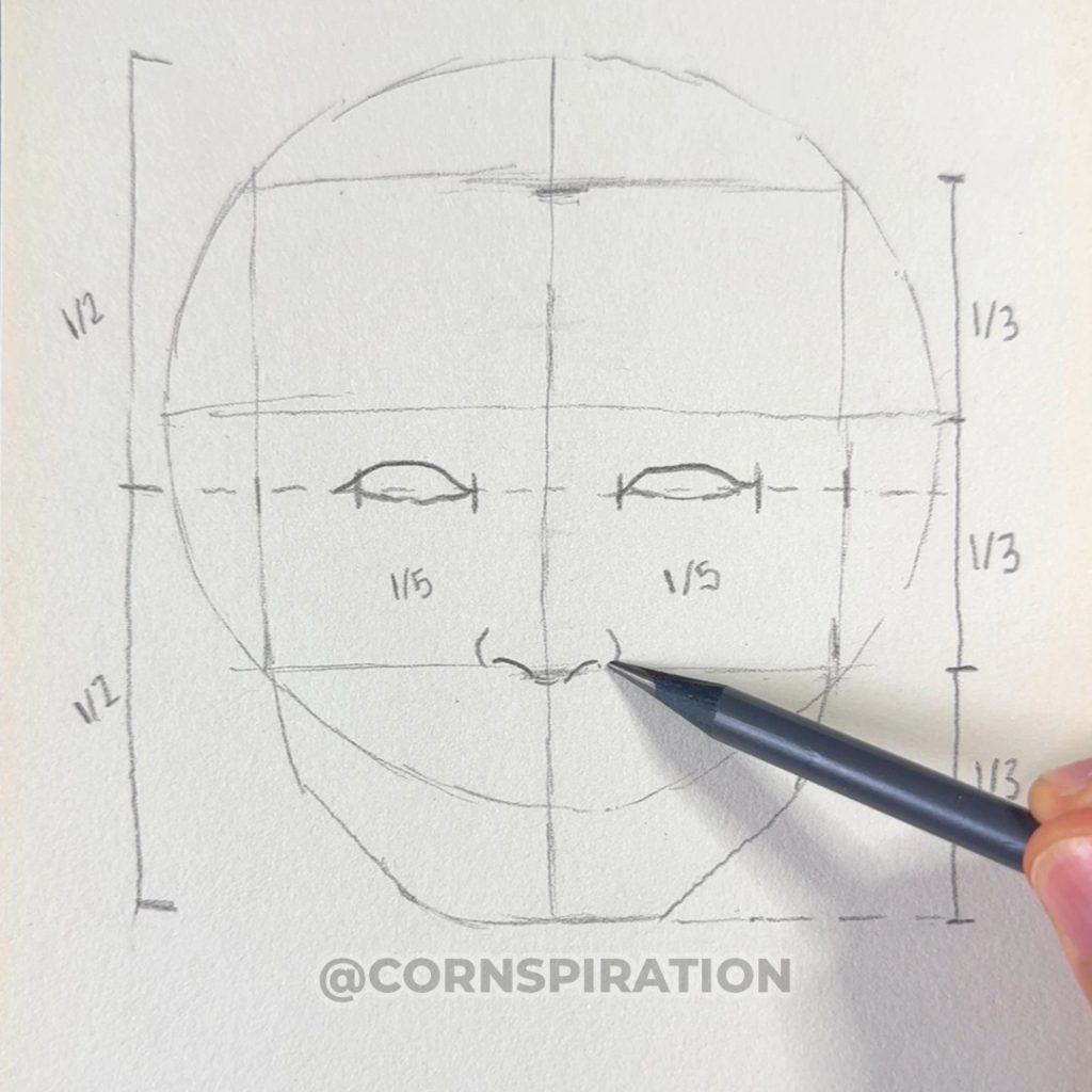 Ubicación de la nariz utilizando las proporciones del rostro