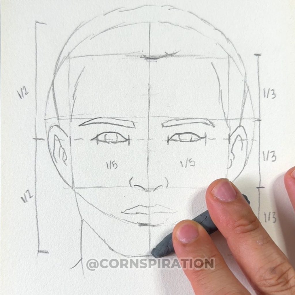 Dibujo del cuello para completar la estructura del retrato