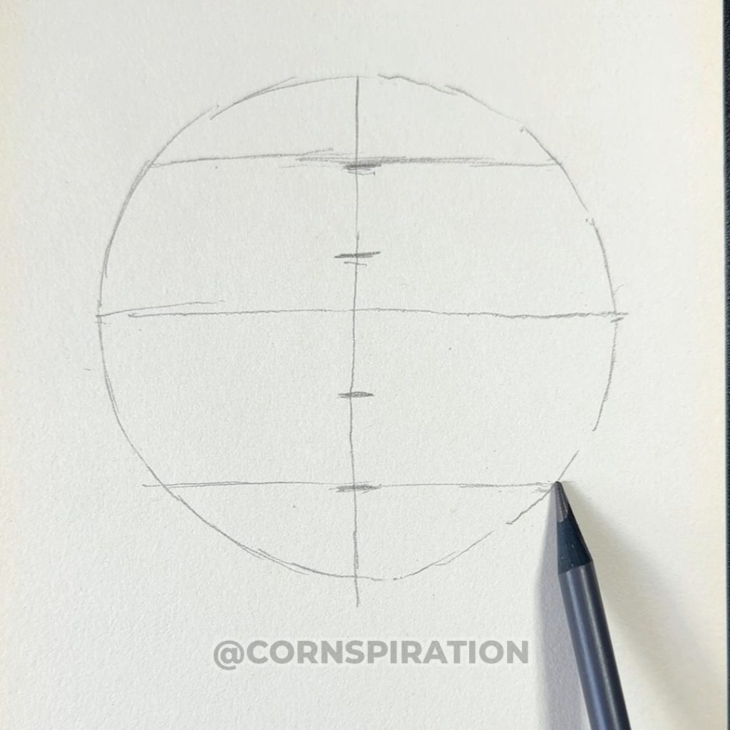Líneas horizontales para marcar las proporciones del rostr